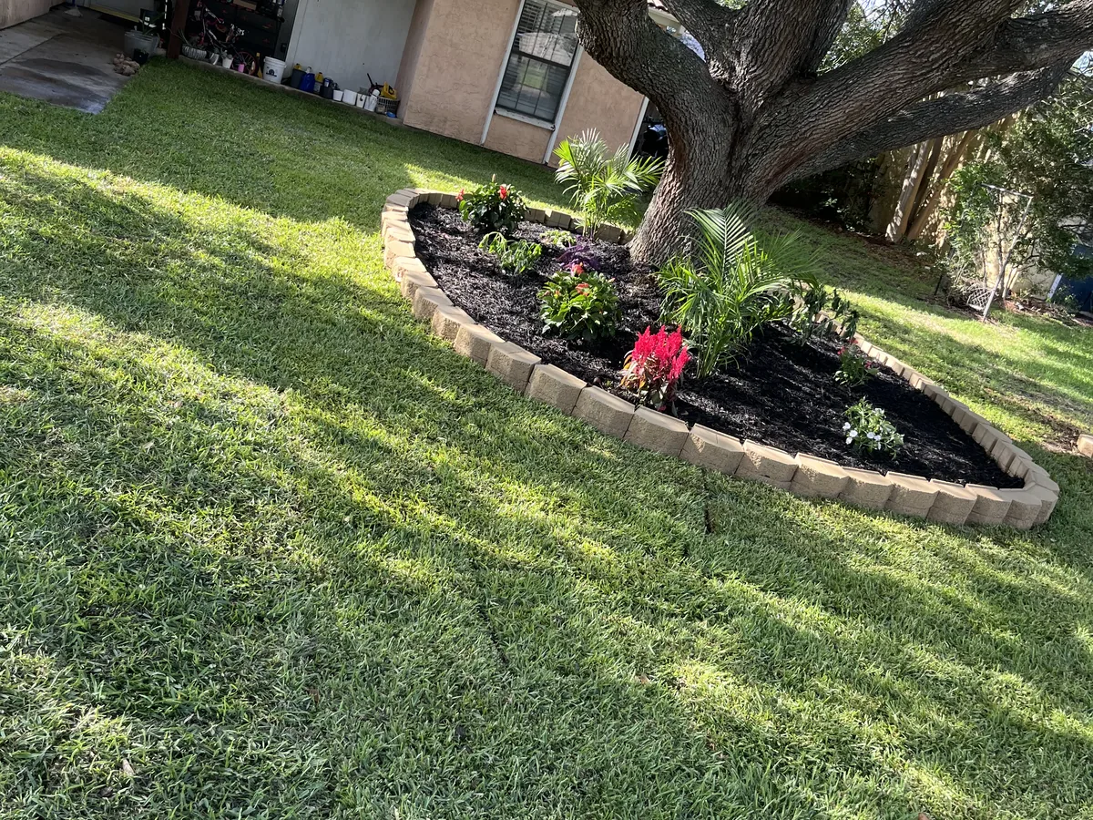 Curved mulch bed with pink flowers and a young palm beside a lawn