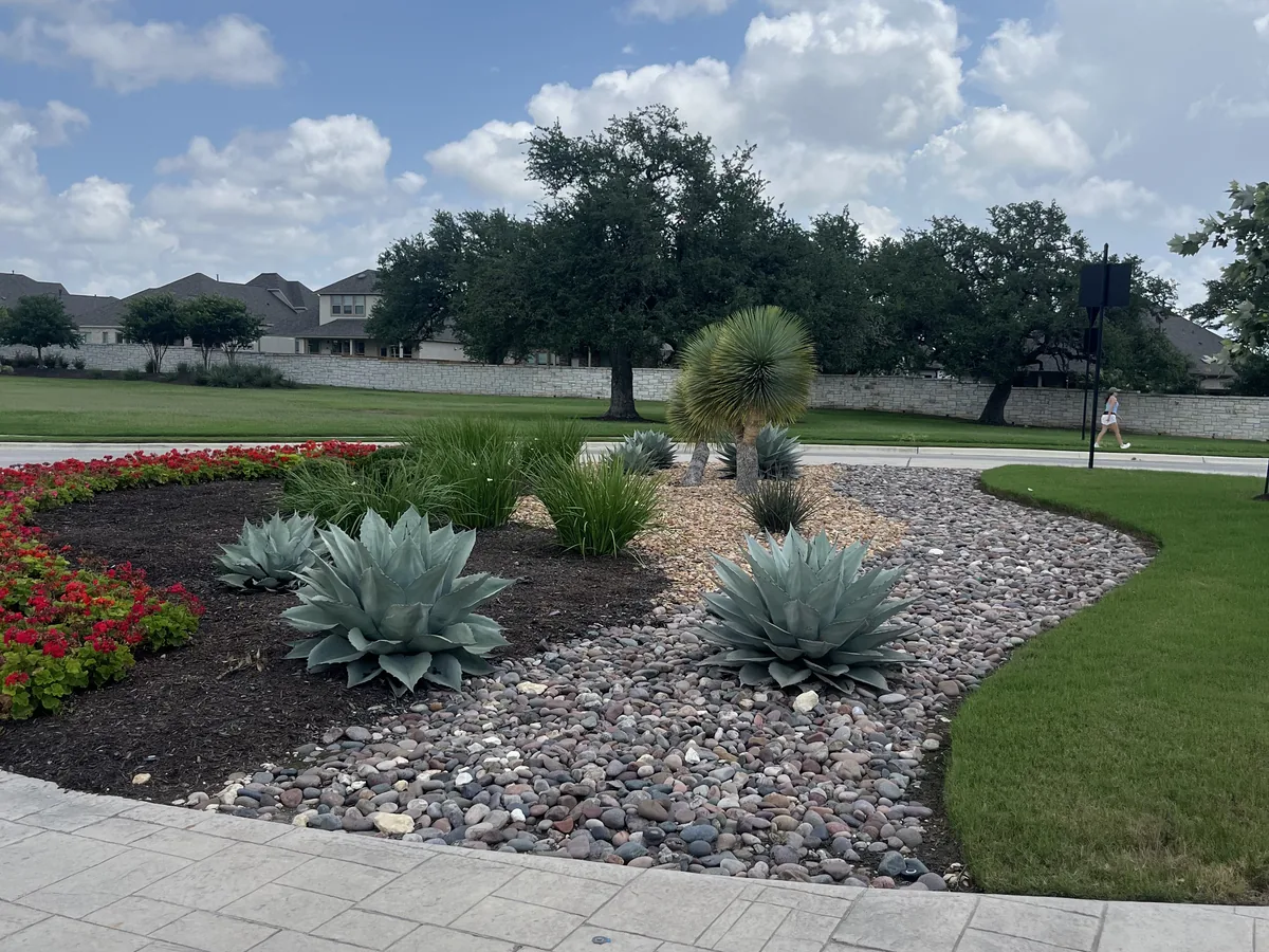 River rock bed with agave and yucca plants in a front yard